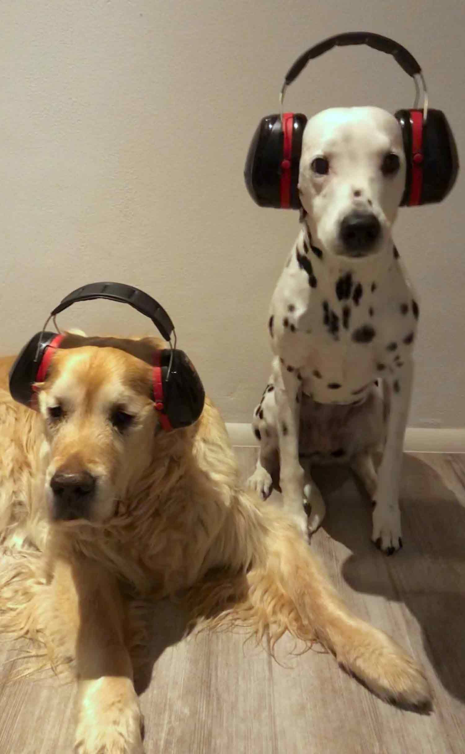 Duo Infernale NSIGN Duo Infernale